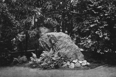Foto: Horkenstein