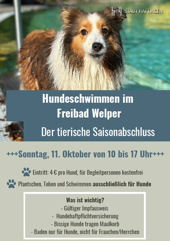 Plakat Hundeschwimmen im Hattinger Freibad 