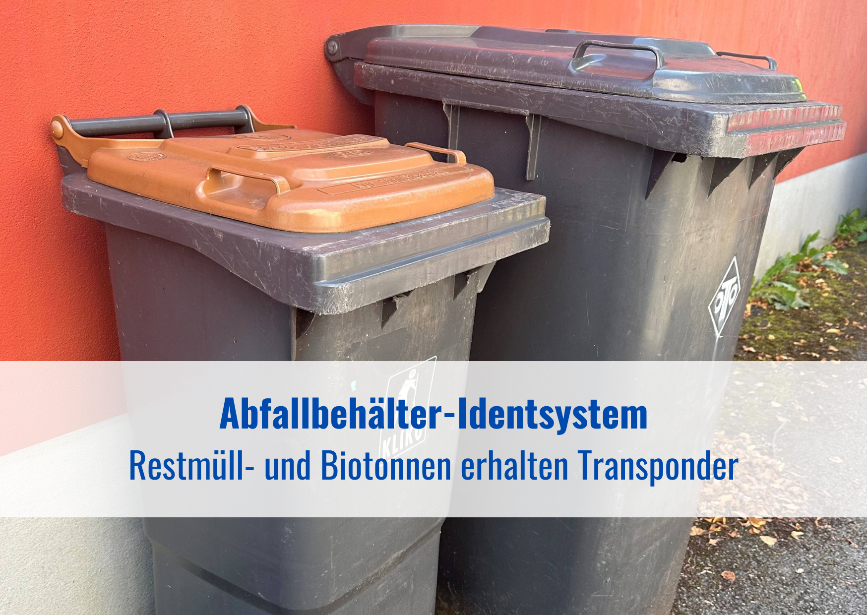 Bio- und Restmülltonnen zu sehen
