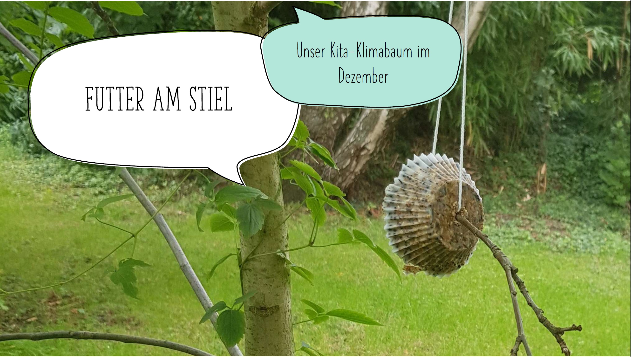 Kita-Angebot Dezember