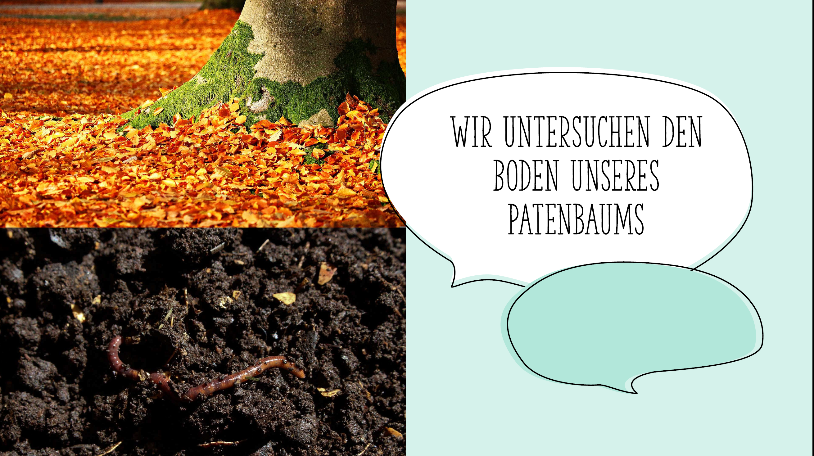 Material Bodenuntersuchung