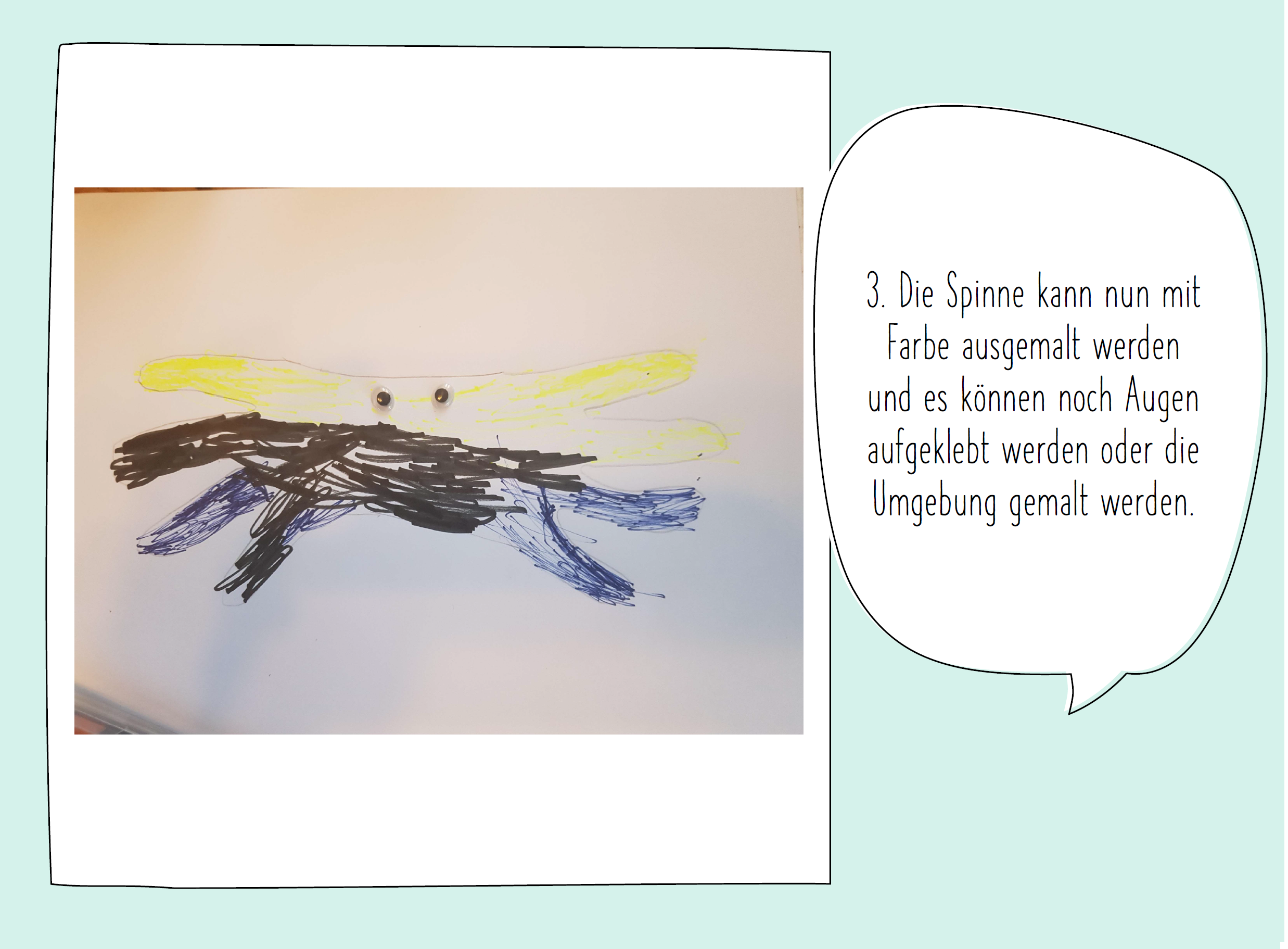 Spinnenbild