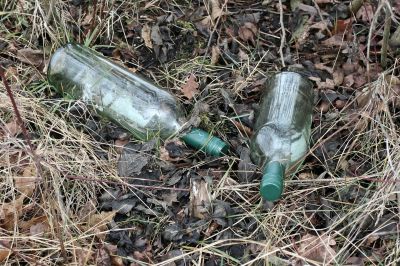 Glasflaschen in der Natur