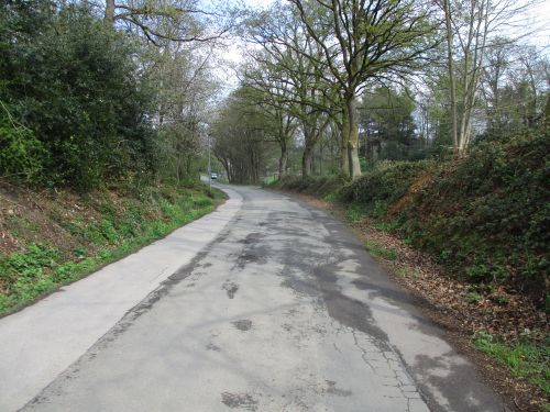 Abschnitt der Großen Kuhstraße 