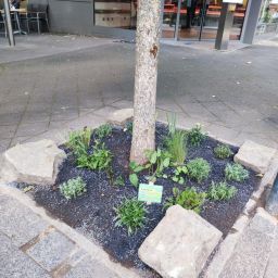 Ein fertiges Beet mit den gespendeten Stauden.