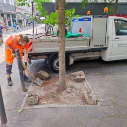 Die Vorbereitungen für die Bepflanzung