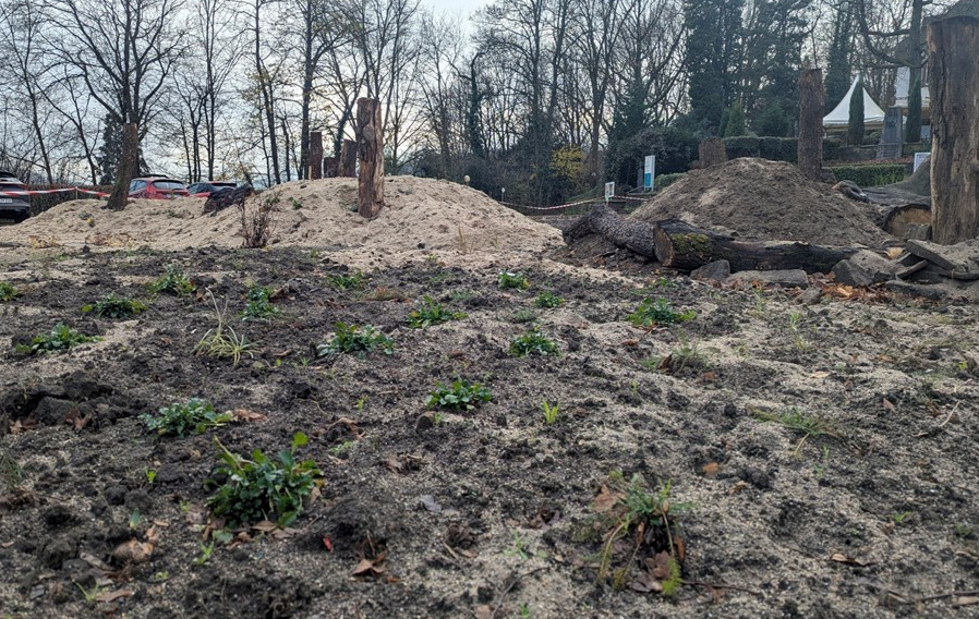 Der Schützenplatz wird ökologisch umgestaltet 