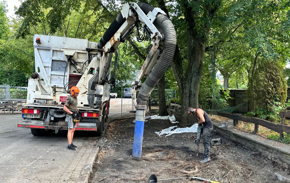 Saug-Bagger an der Grundschule Heggerfeld ist im Einsatz um die Baumscheiben zu vergrößern. 