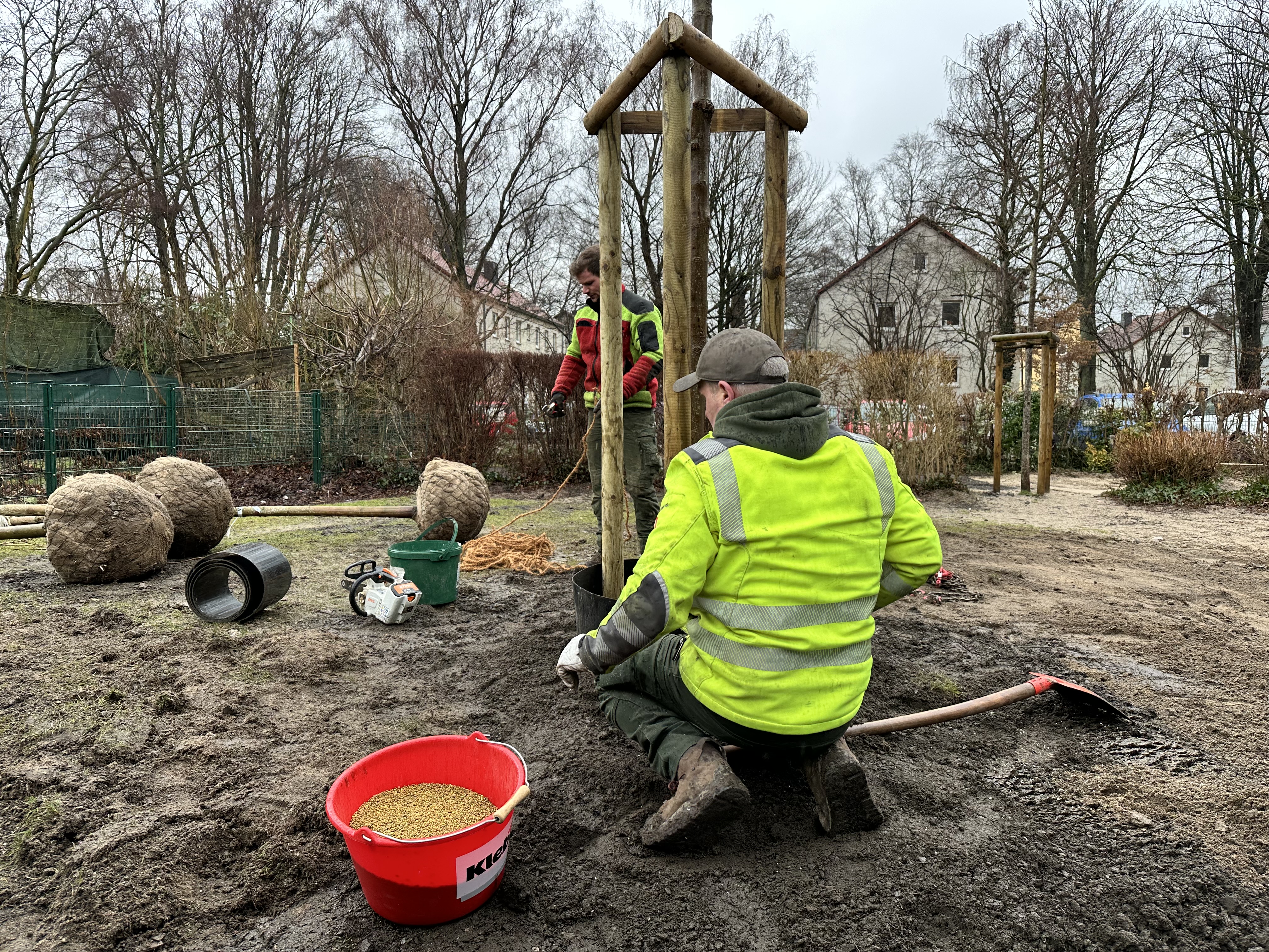 Neue Bäume an der Grundschule Heggerfeld