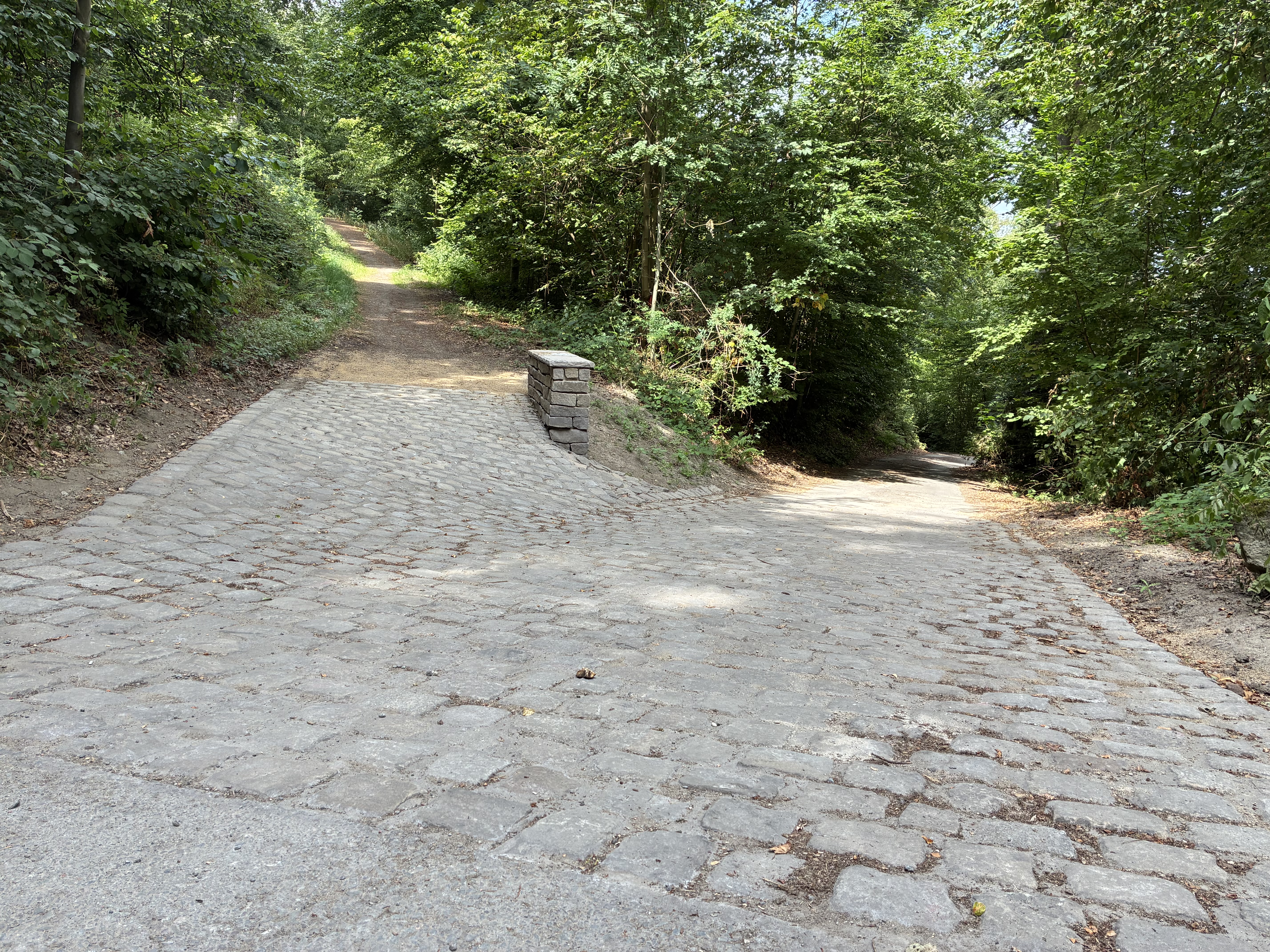 Wegführung am Burgweg ist fertiggestellt.