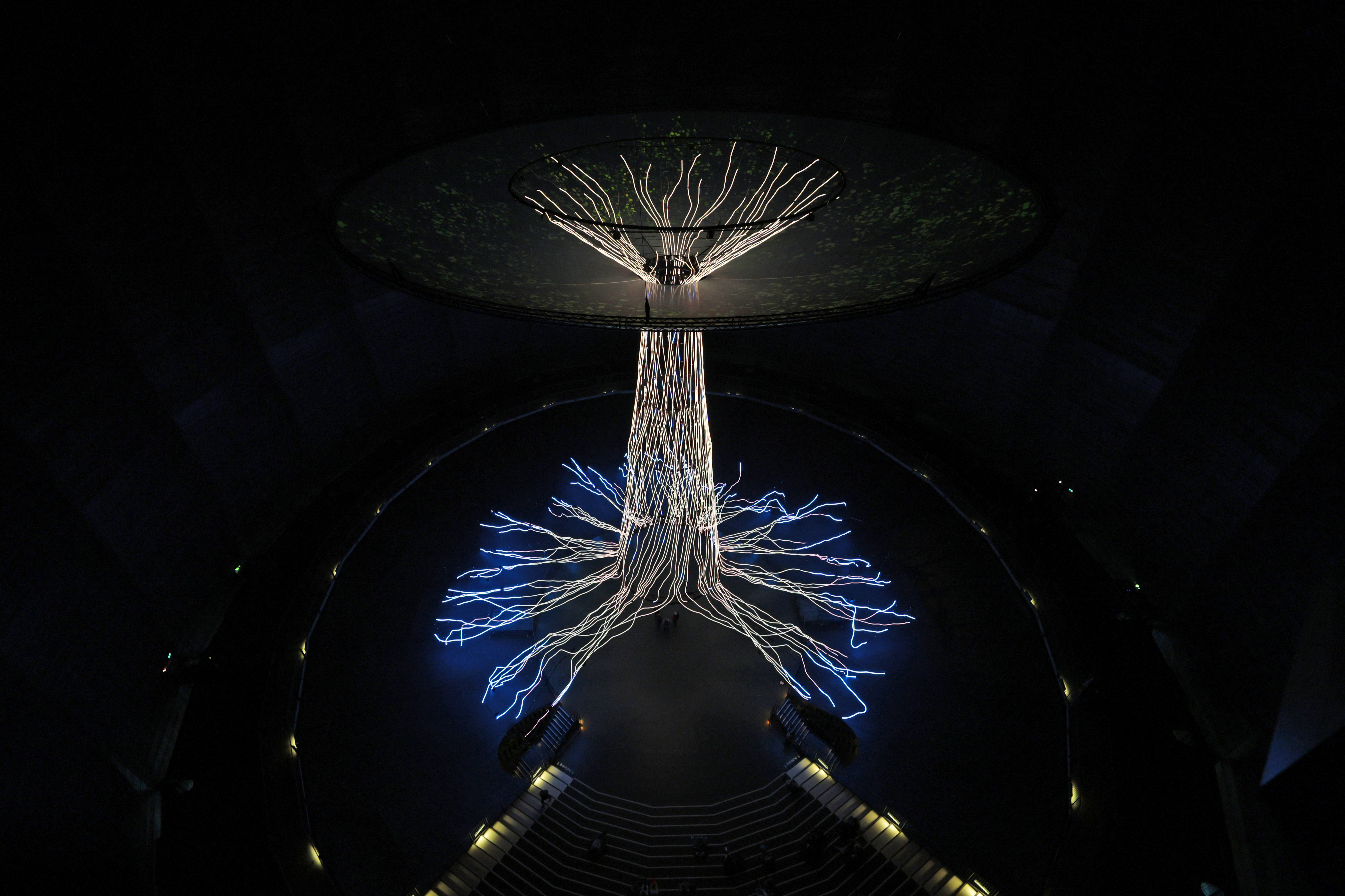 Fotografie der Lichtinstallation mit dem Titel "Der Baum"