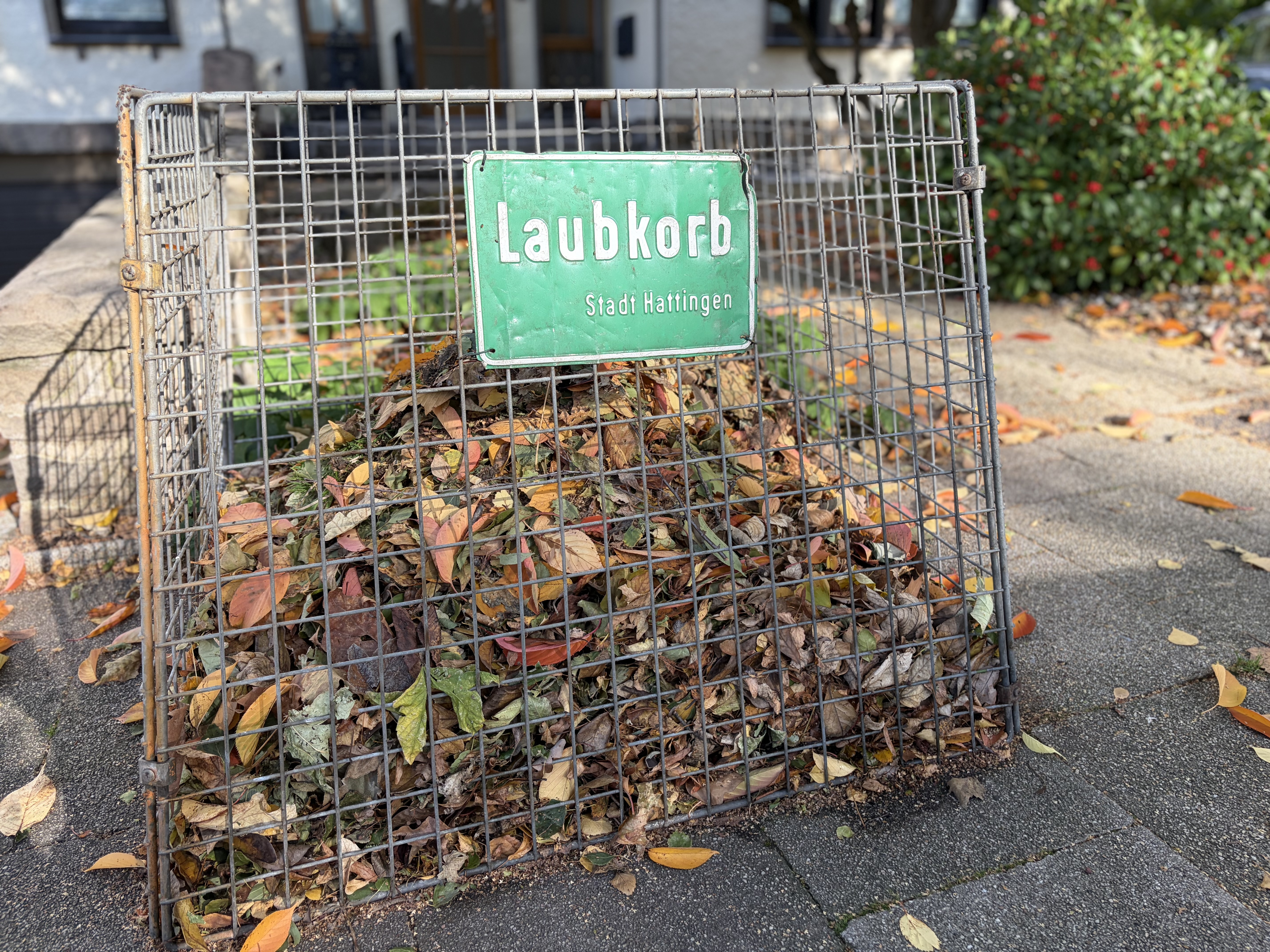Befüllter Laubkorb in der Roonstraße
