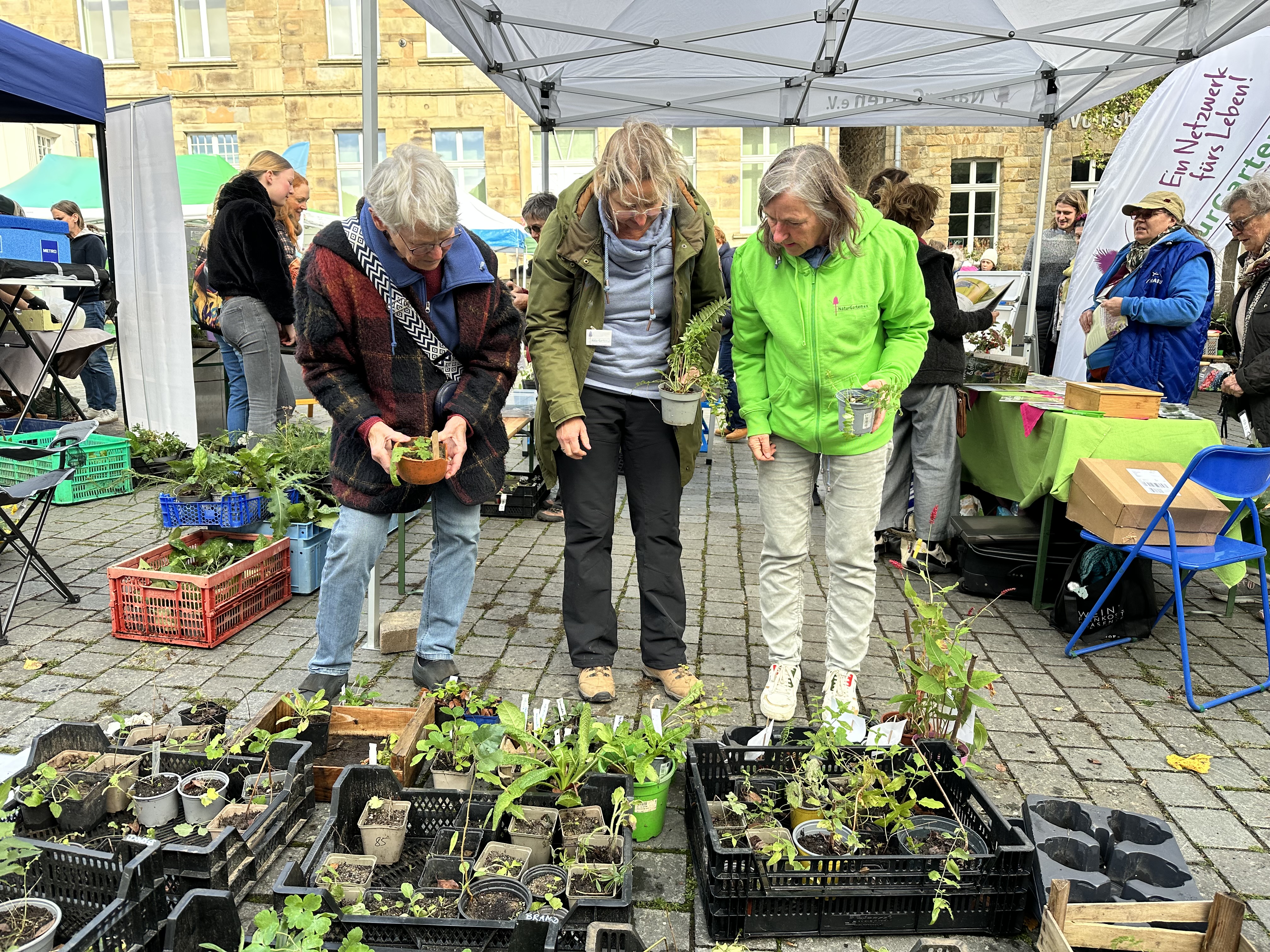 Besucherinnen am Staudenstand. 