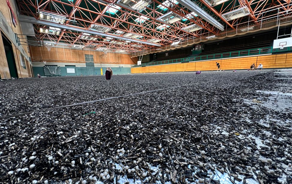 Die Turnhalle am gymnasium Holthausen wird saniert, die Ausgleichsschüttung wird aufgebracht. 