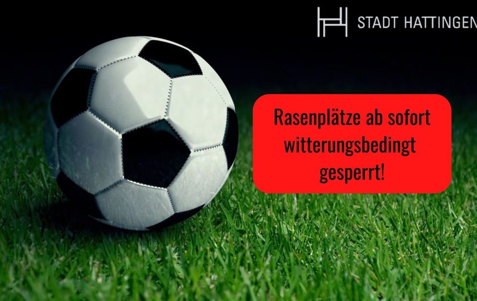 Foto Fußball auf Rasenplatz