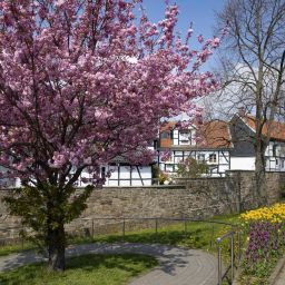 Frühling in Hattingen