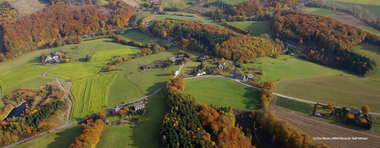 Luftbild von Hattingen mit grünen Wiesen und Feldern und herbstlichen Wäldern