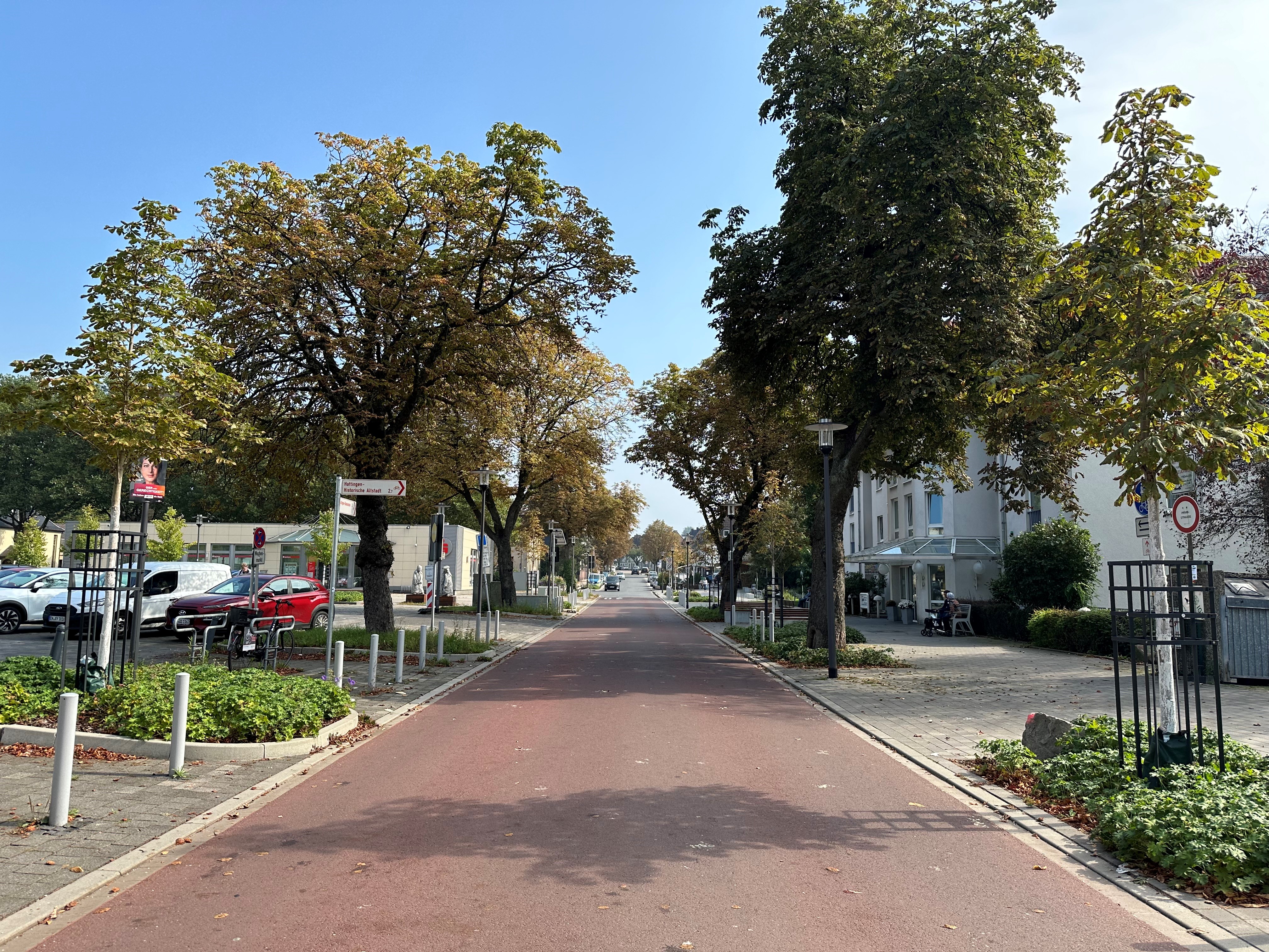 Aufnahme der neuen Thingstraße Aufnahme der neuen Thingstraße